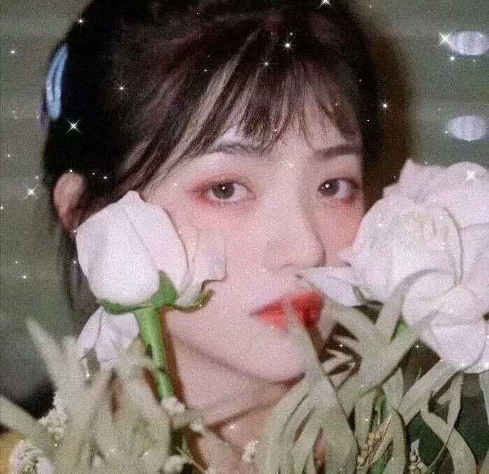 血胎换骨